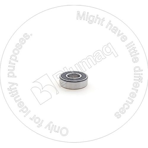 0600606203 OR ПОДШИПНИК