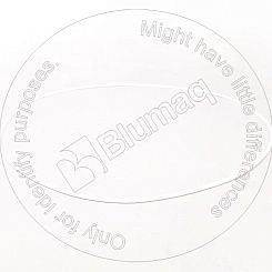 1541522811 ST УПЛОТНИТЕЛЬНОЕ КОЛЬЦО BLUMAQ