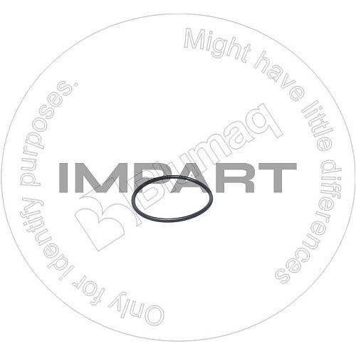 07000-02055 Кольцо уплотнительное